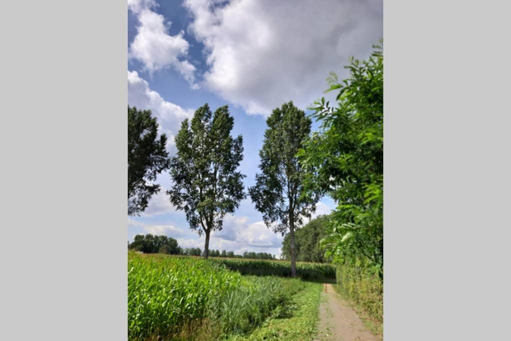 Brabants Genoegen Heeswijk Dinther Exterior foto